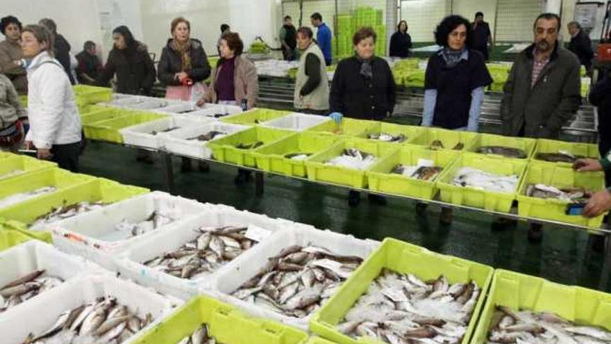 Subasta de pescado celebrada en una lonja gallega. / josé luis oubiña