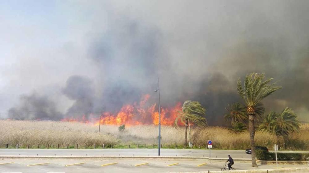 Las llamas cruzaron la avenida Santa Eulària