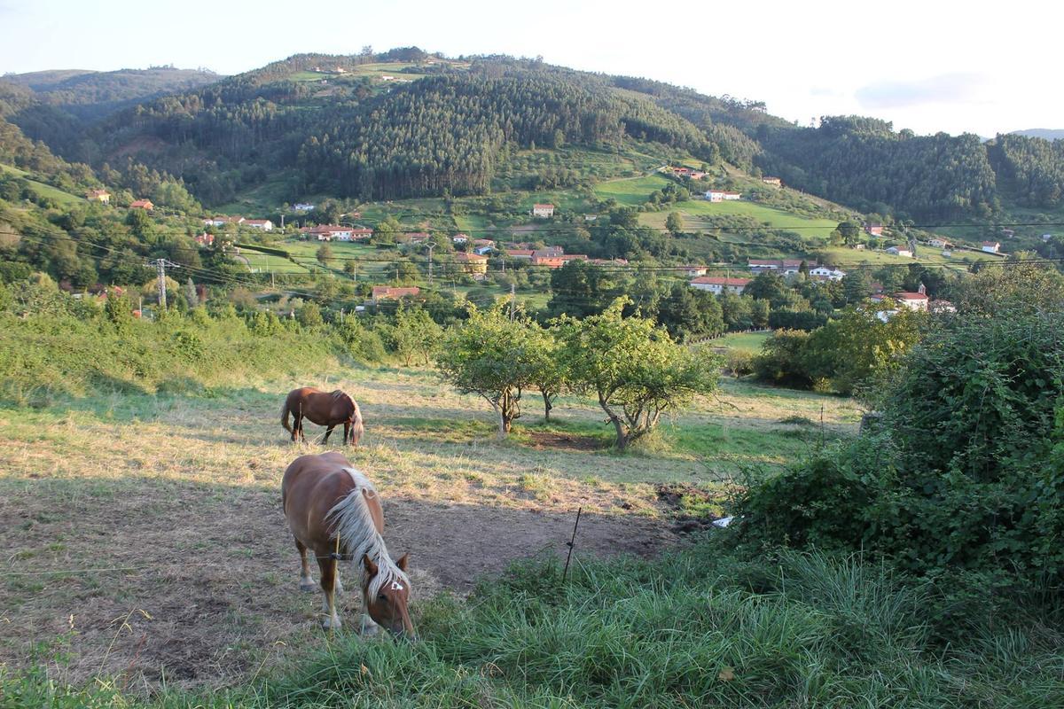 Vista general de la parroquia de Arroes.