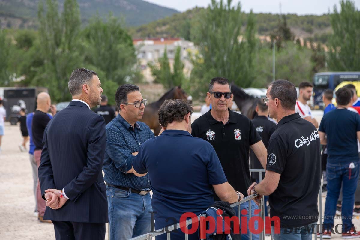 Control veterinario de los Caballos del Vino en Caravaca