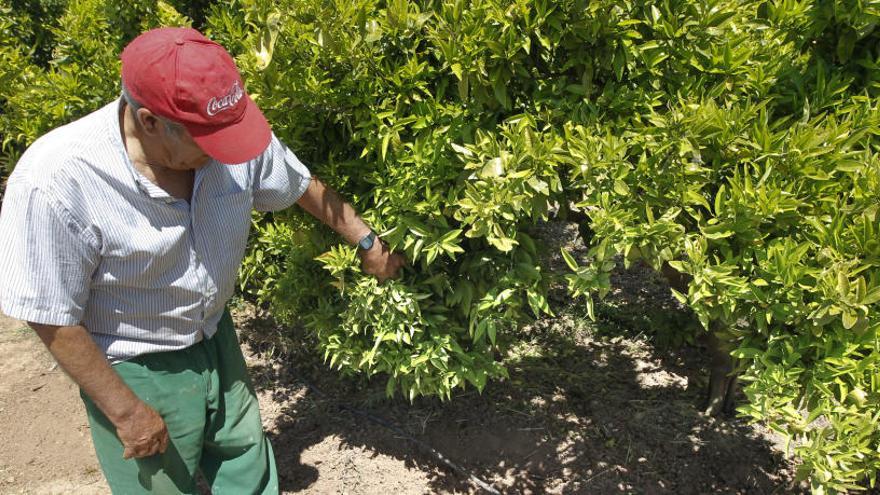 Cazadores y agricultores denuncian la discriminación al mundo rural