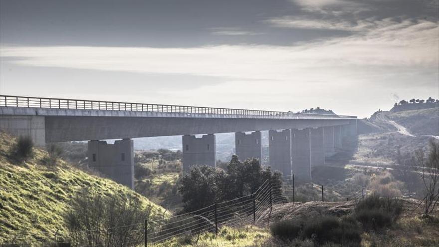 Año 2019: ¿Habrá tren digno?