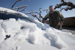 Un home retira la neu acumulada al seu cotxe, a la Palma d’Ebre (Ribera d’Ebre).