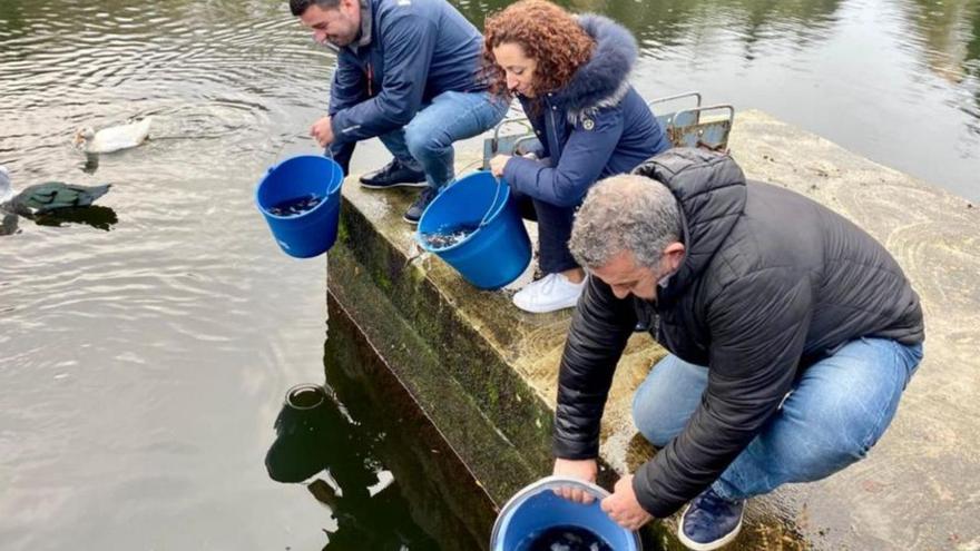 Depósito de los alevines en el lago.