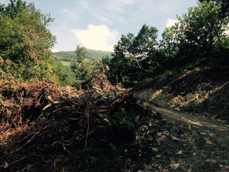 Estado de la pista, tras las obras.