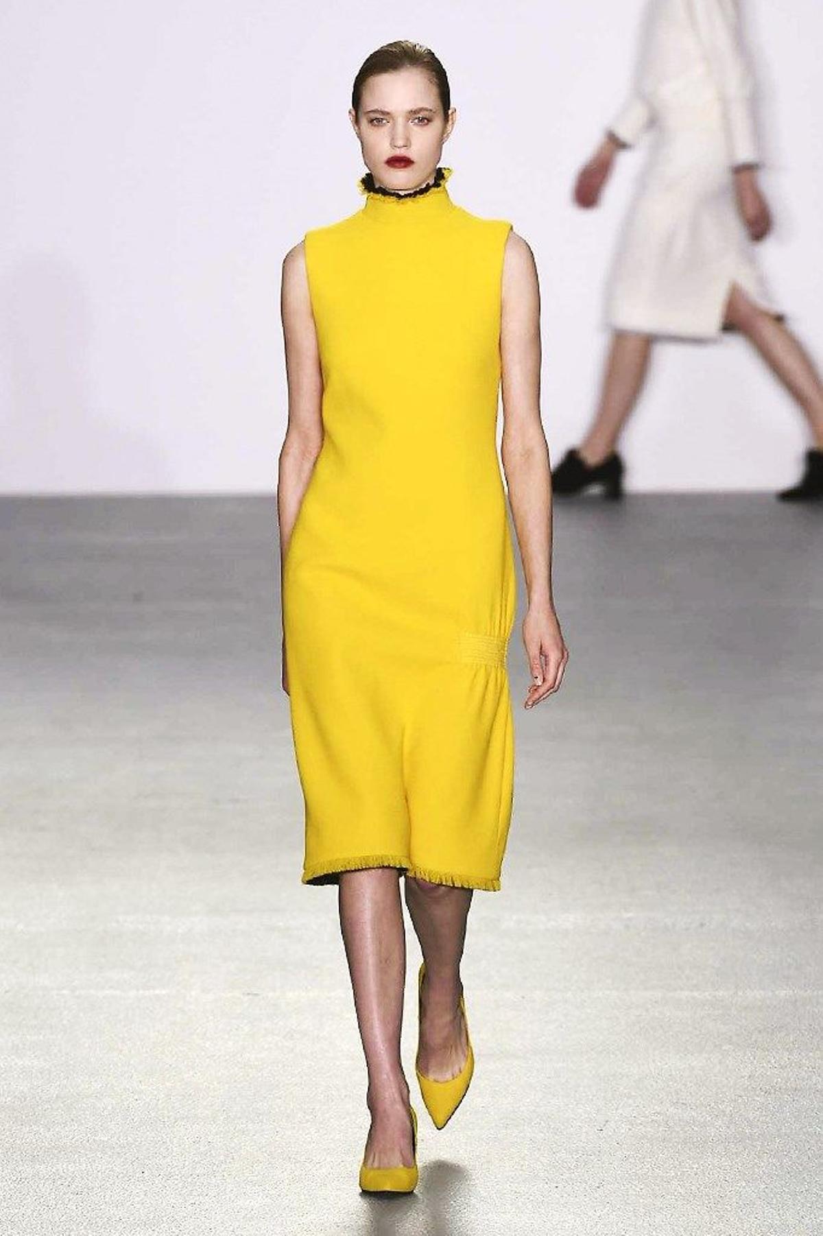 J. Js Lee