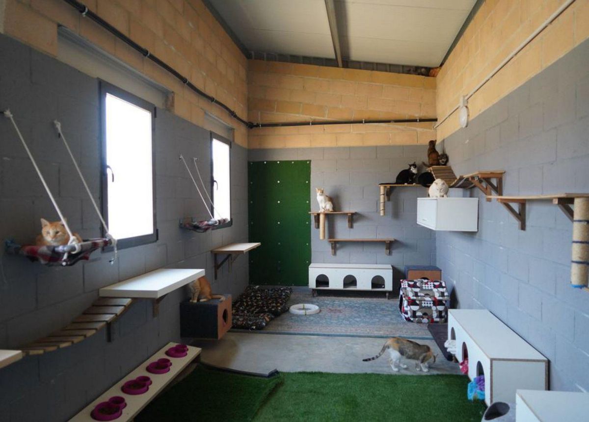 Medio centenar de perros y veinte gatos estrenan el Centro de Protección Animal