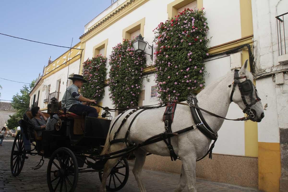 Concurso de Rejas y Balcones en Córdoba