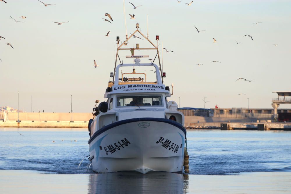 Tan solo cinco compradores y un barco se encargan de llevar el marisco y el pescado de arrastre cada día a la mesa de los malagueños donde la merluza y las gambas son las grandes protagonistas.