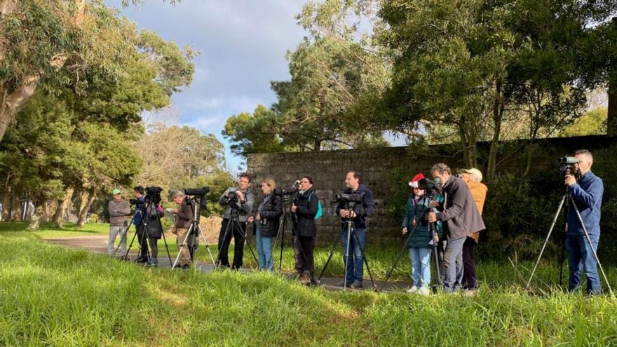 Asistentes a la jornada ornitológica celebrada en Navidad. | SEO BirdLife