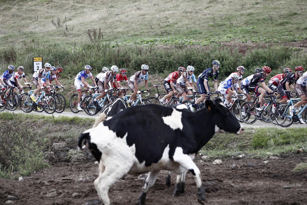 Vuelta a España: Las imágenes de la décima etapa