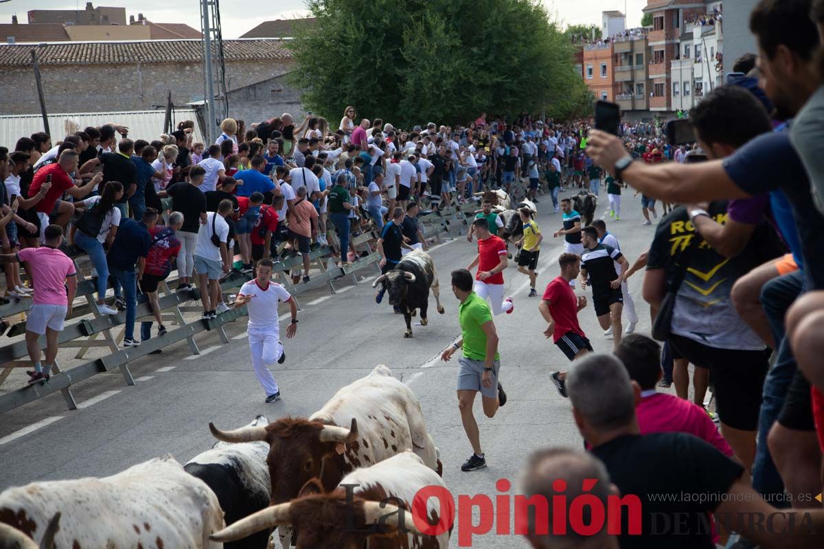 Primer encierro de la Feria del Arroz de Calasparra