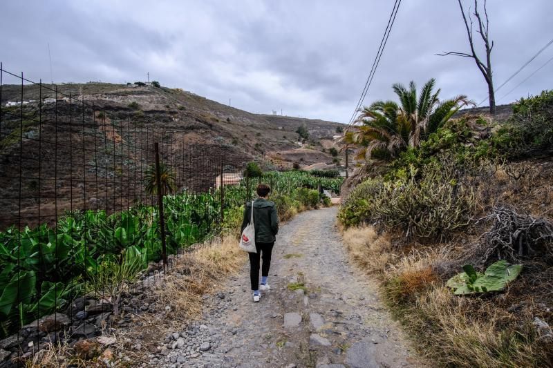 27-07-18. LAS PALMAS DE GRAN CANARIA. CAMINO REAL A GÁLDAR EN TENOYA. FOTO: JOSÉ CARLOS GUERRA.  | 27/07/2018 | Fotógrafo: José Carlos Guerra