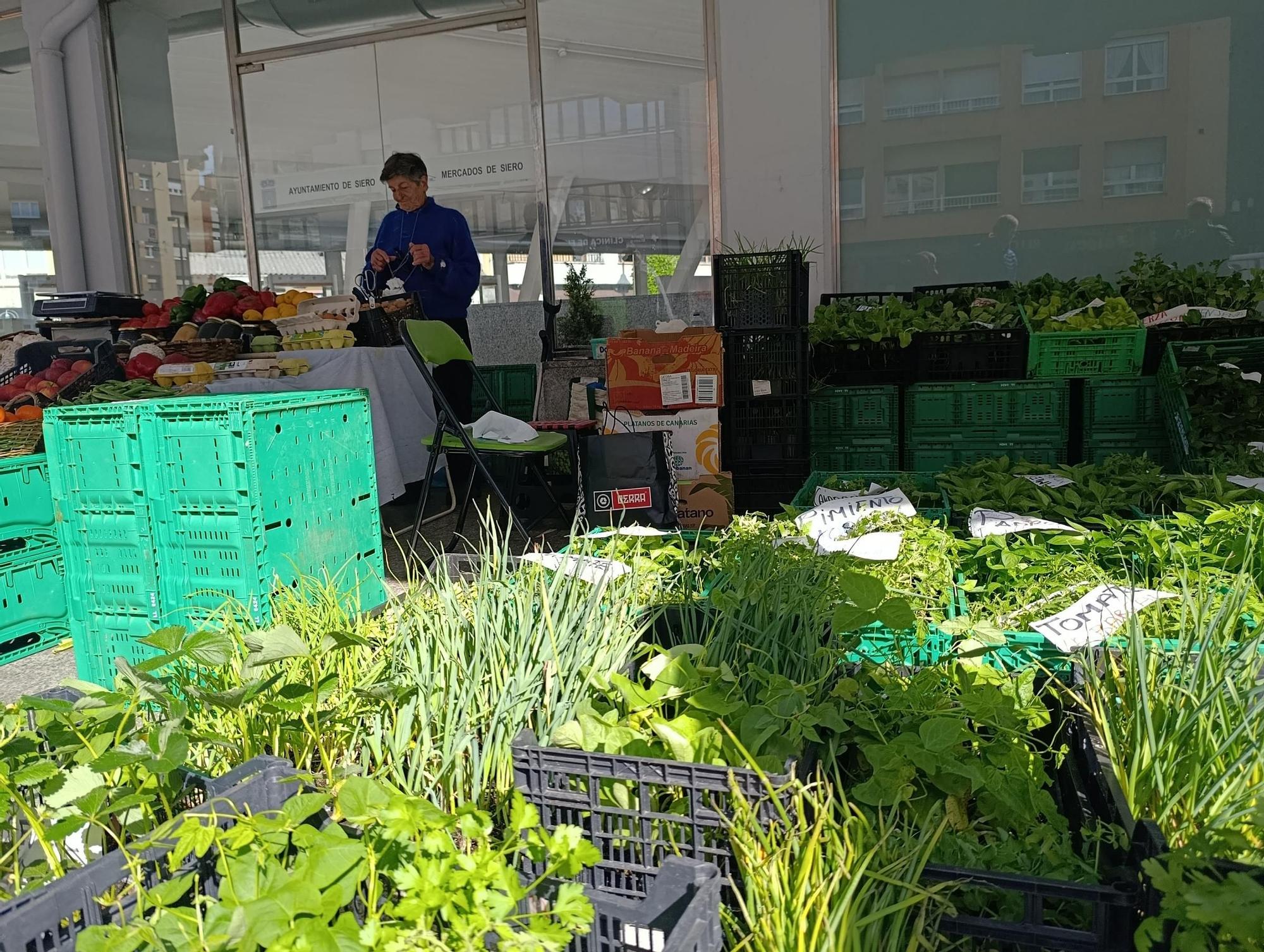 El mercado de alimentación de la Pola pide refugio