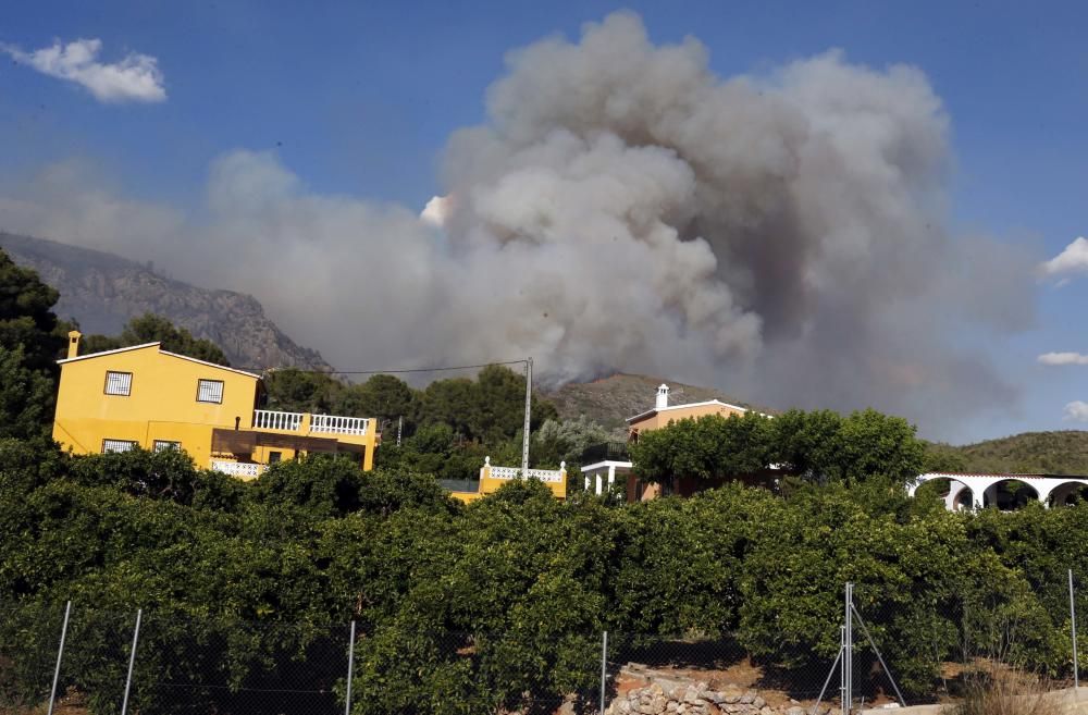 Incendio forestal en Carcaixent