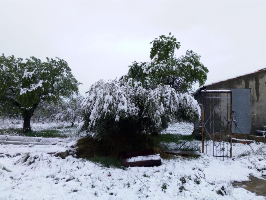 Marzo termina con nieve en Aras de los Olmos