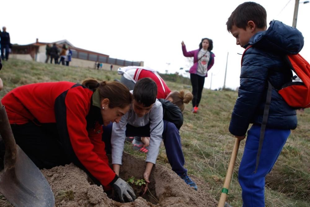 Día Forestal Mundial en el CRA Tierra del Pan