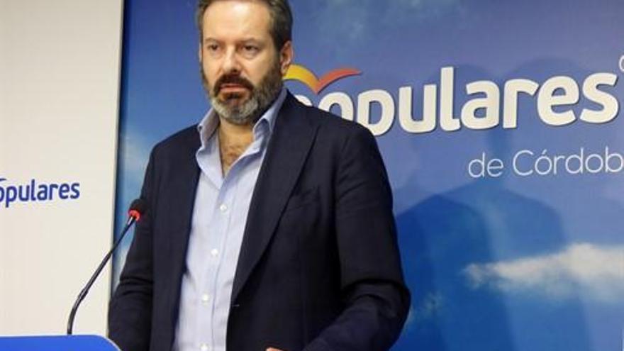 Molina pide al PSOE que decida &quot;si arrima el hombro con los presupuestos&quot; andaluces o sigue confrontando