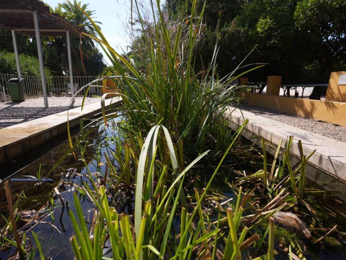 2 | CHENCHO MARTÍNEZ