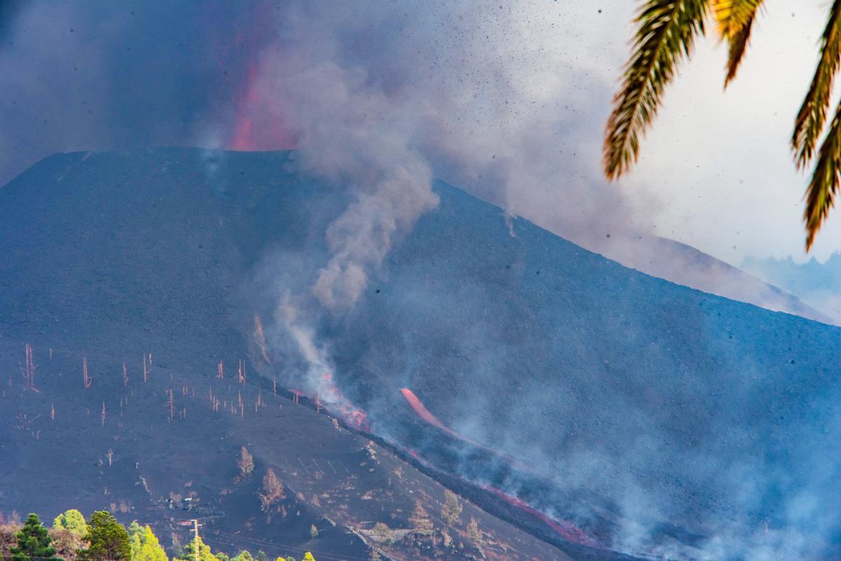 Erupción volcánica en La Palma | La lava se acerca lentamente al mar.