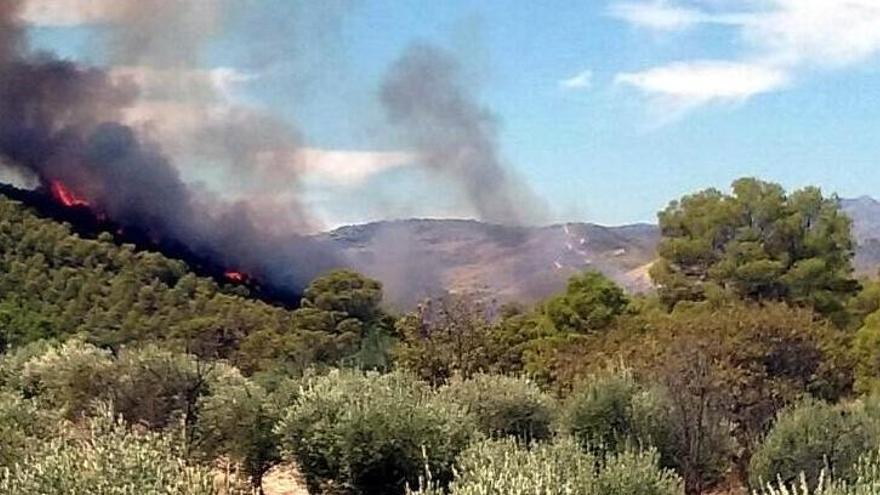 Llamas y humo en la sierra, en el incendio declarado en Calasparra.