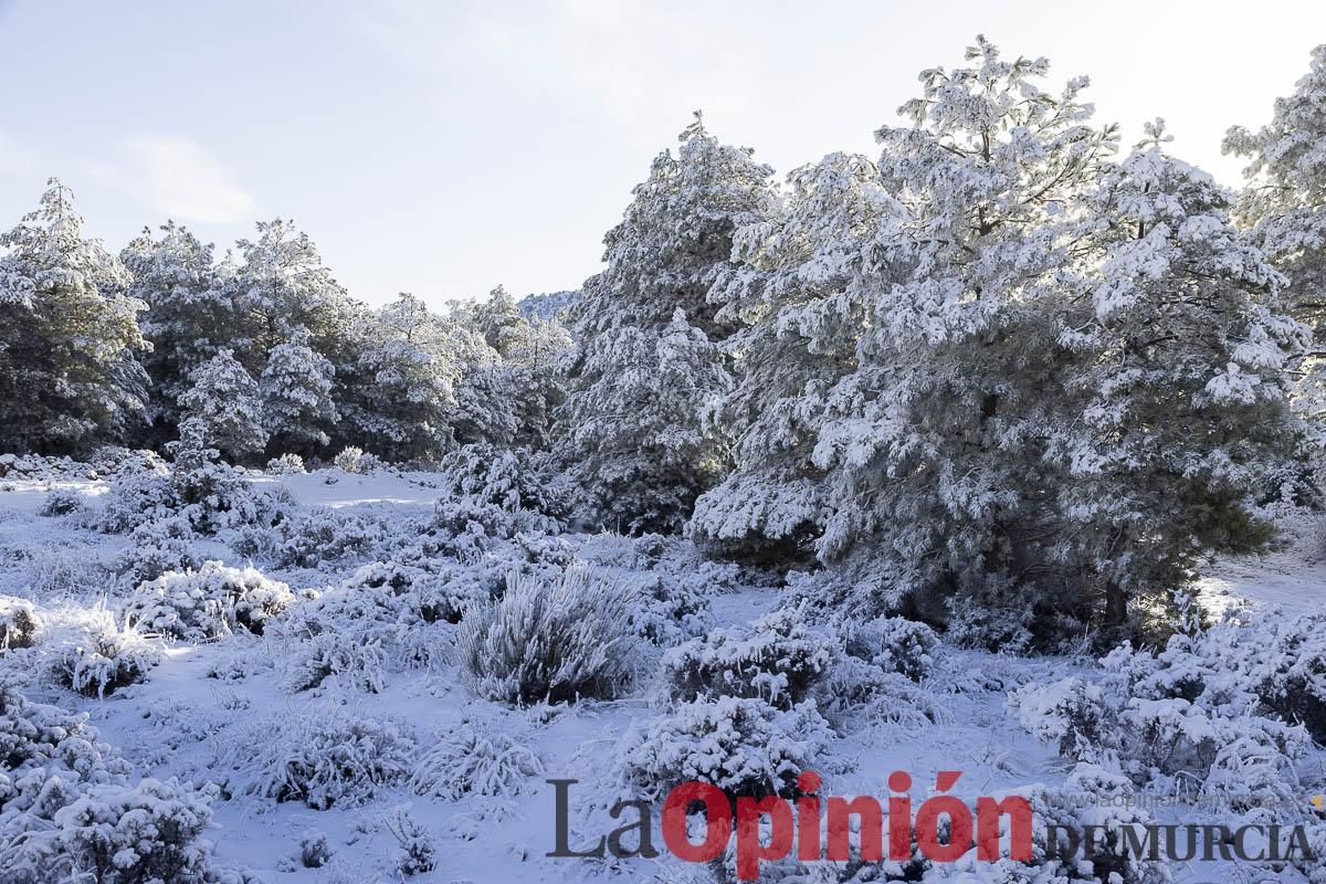 Descubre dónde queda acumulación de nieve en la Región de Murcia