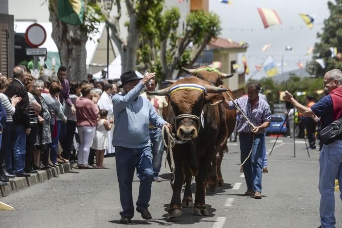 FIESTA DE VALLESECO