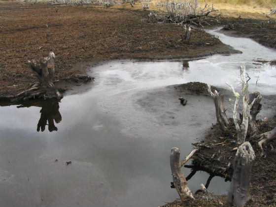 La exposición 'Tierra inundada' se puede ver en el MUA hasta el 24 de julio