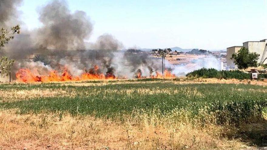 Un foc agrícola crema una hectàrea i mitja d&#039;un camp a Salelles