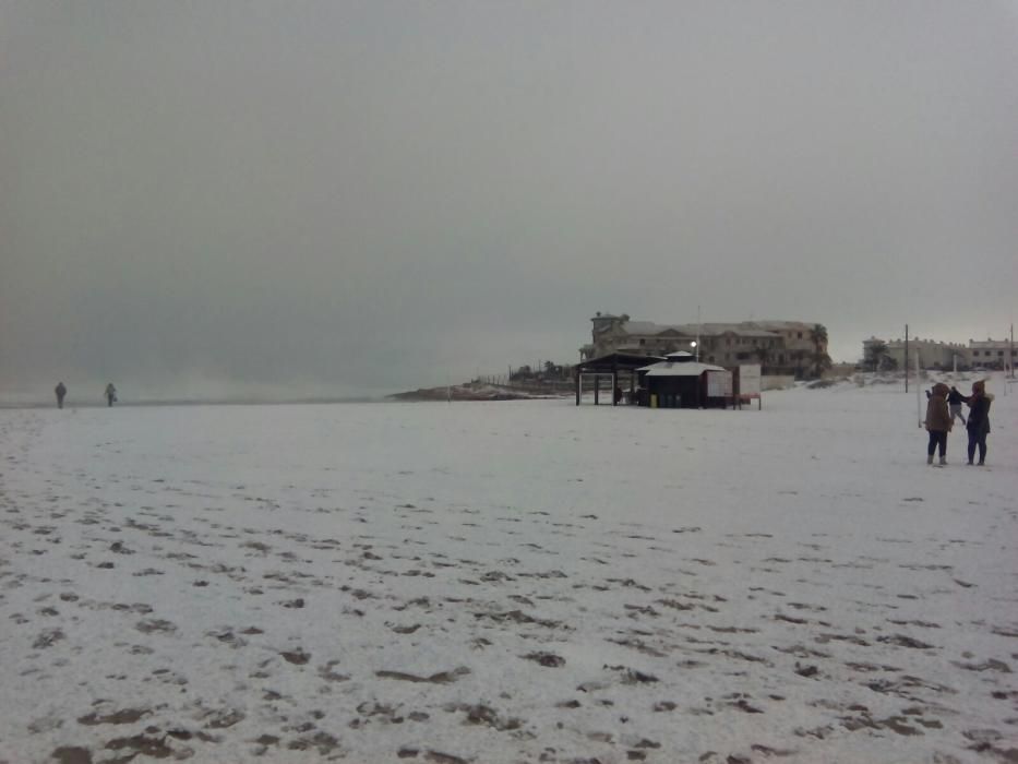 Una fina capa de nieve ha cubierto las playas, los techos de los vehículos, zonas verdes y tejados de Torrevieja, Orihuela Costa y Pilar de la Horadada