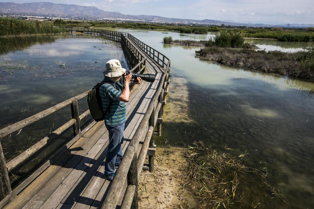 Ecologistas quieren proteger El Hondo