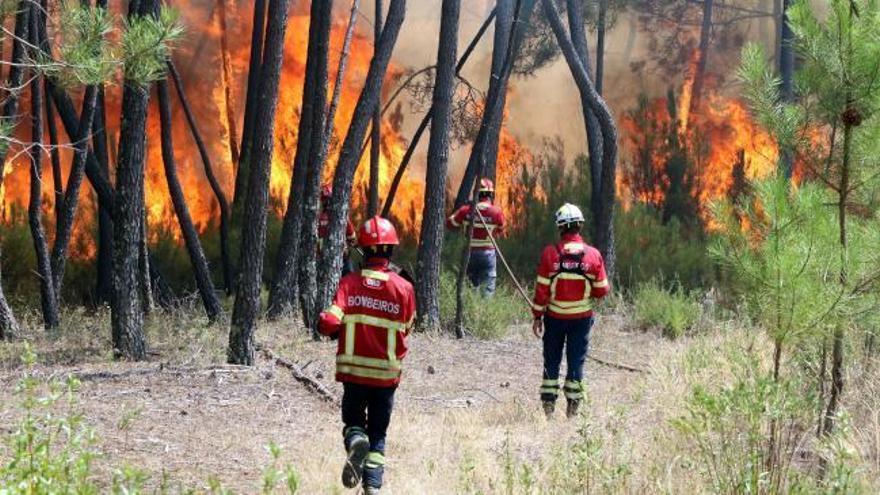 El centro de Portugal continúa ardiendo