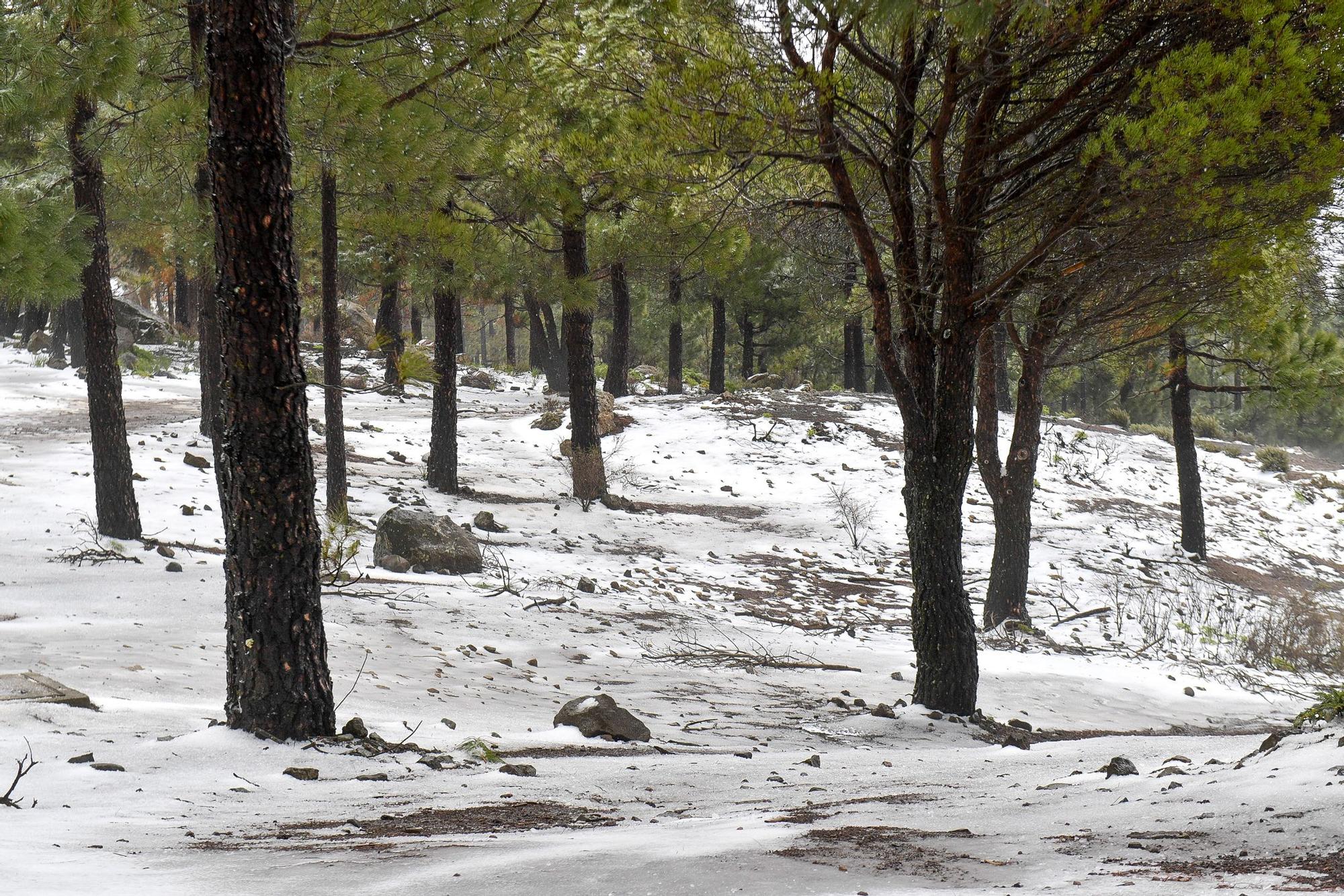 Nevada en Gran Canaria (16/02/23)