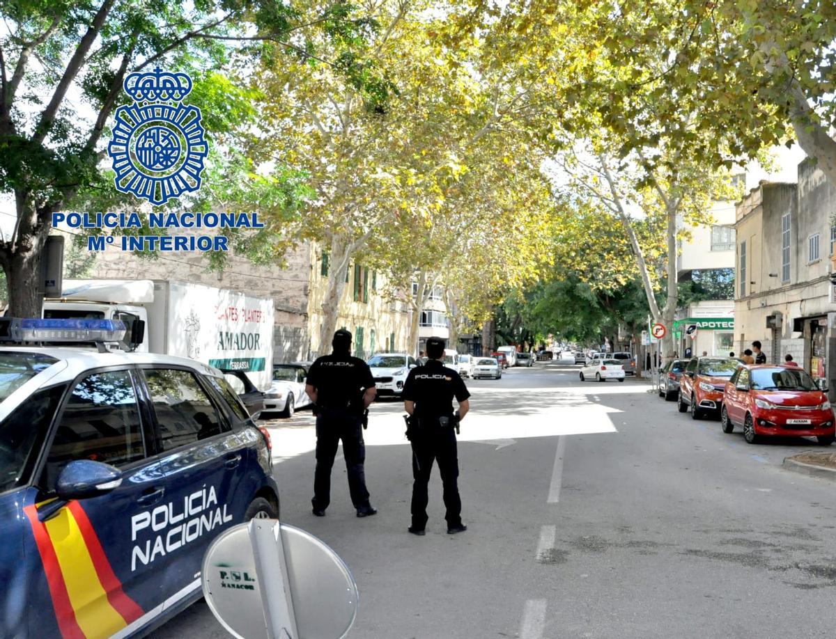 Agentes de la Policía Nacional en Palma.
