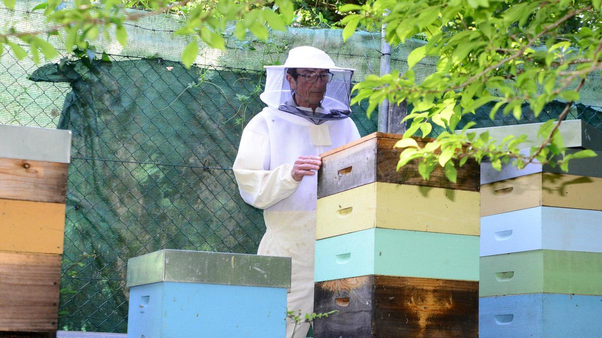 Juan Alonso, apicultor de Tirán, en sus colmenas en Senxido en Coiro.