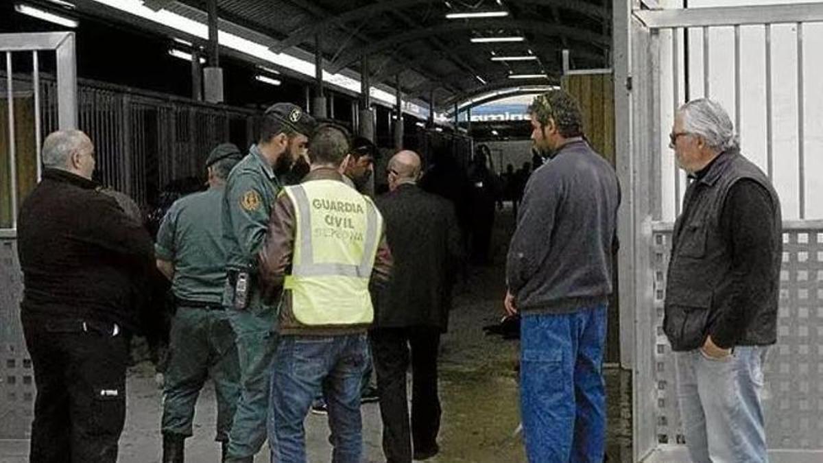 Trabrennpferde-gedopt-Skandal-endet-auf-Mallorca-mit-Freispr-chen-wegen-Verj-hrung