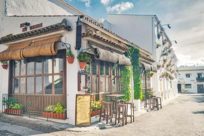 Conil, el destino gastronómico más interesante para visitar en septiembre: es tiempo de calamar