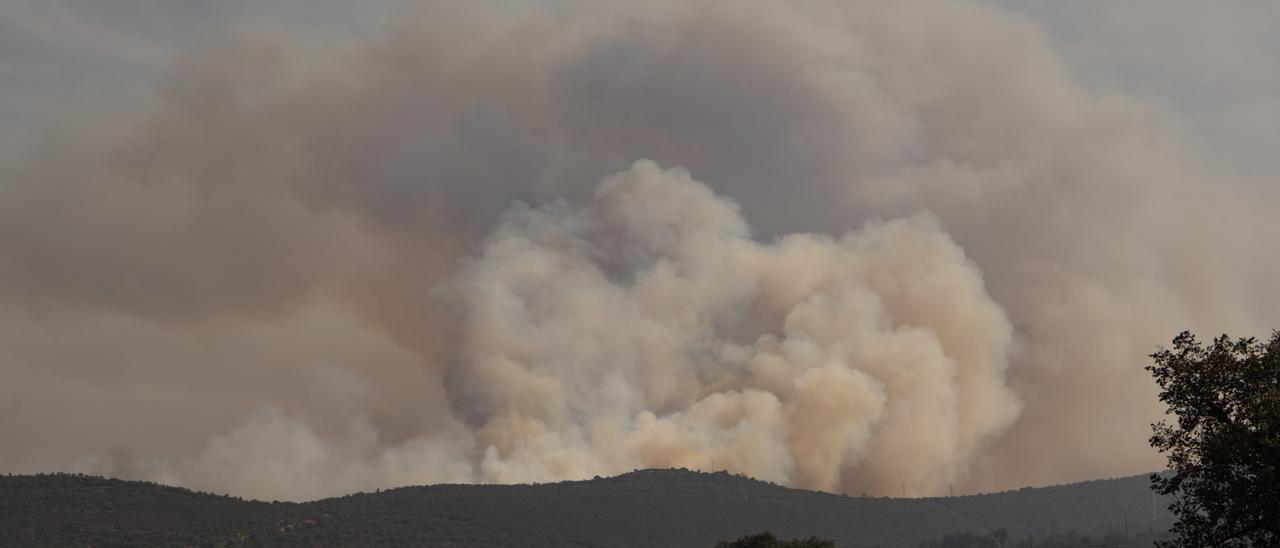 ZAMORA. INCENDIO LOSACIO