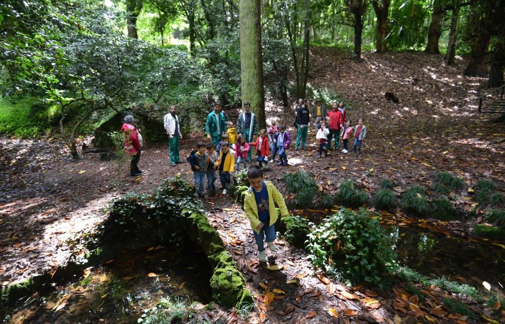 El Jardín Botánico de Lourizán, un pulmón verde