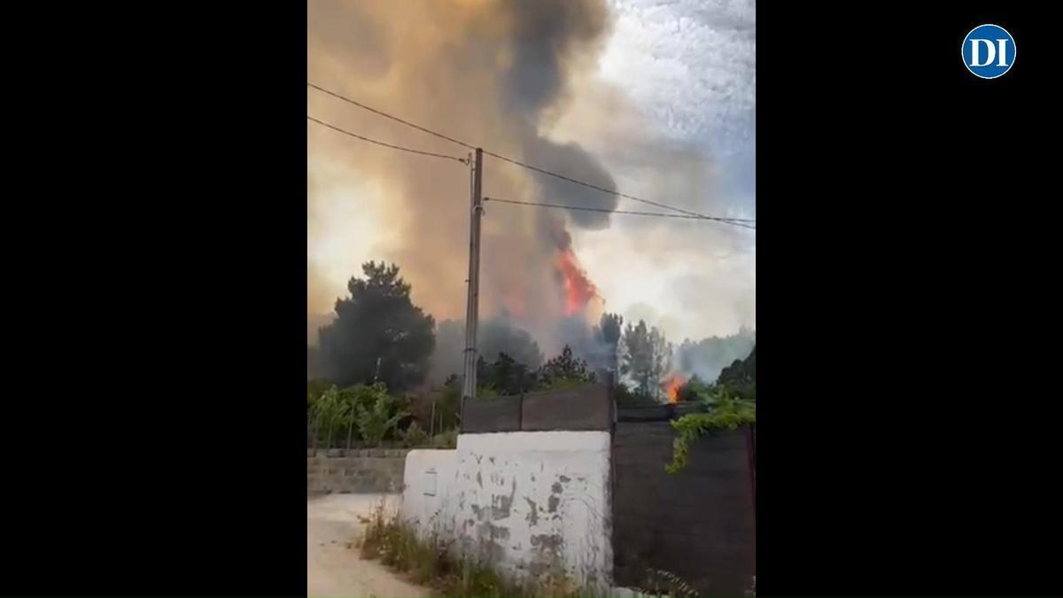 Incendio forestal en Sant Josep pone en peligro las viviendas de la zona.