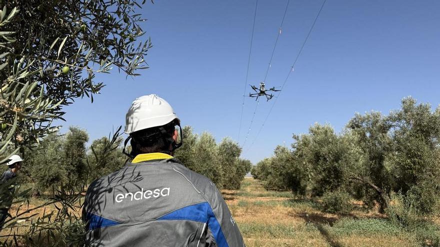 Endesa utiliza drones para instalar más de 1.000 balizas para proteger a las aves en la Laguna de Fuente de Piedra