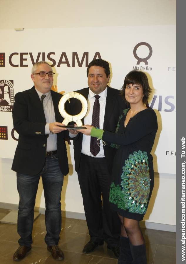 GALERÍA DE FOTOS - Entrega de los  Premios Alfa de Cevisama 2014