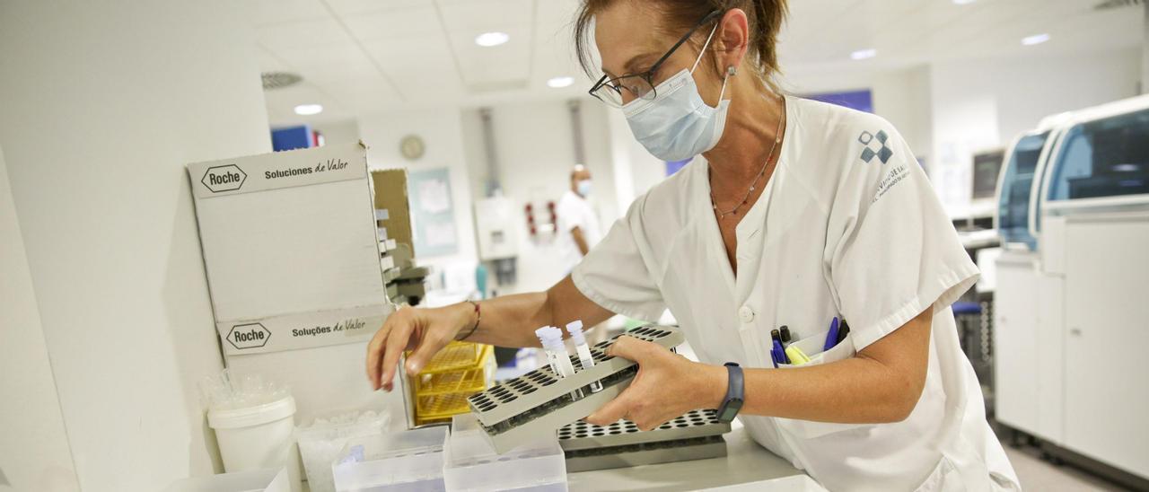 María José Suárez en el laboratorio del HUCA el pasado mes de agosto