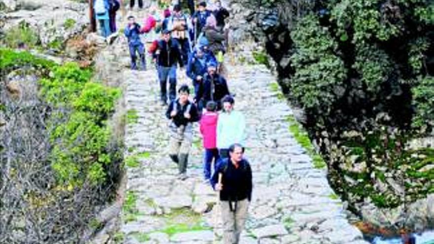 650 caminantes tras la huella de Carlos V - El Periódico Extremadura