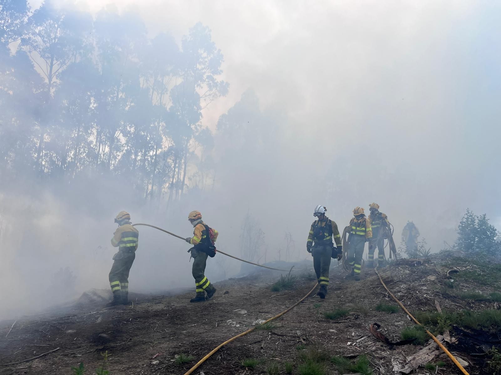 a dos agentes de Medio Rural, seis brigadas, cuatro motobombas, dos palas y dos helicópteros.