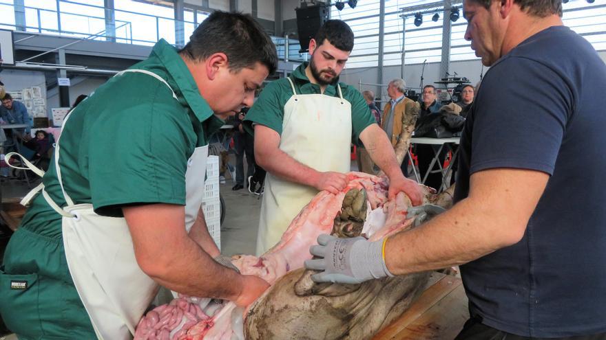 XXI Matanza Tradicional del Cerdo Ibérico de Monesterio