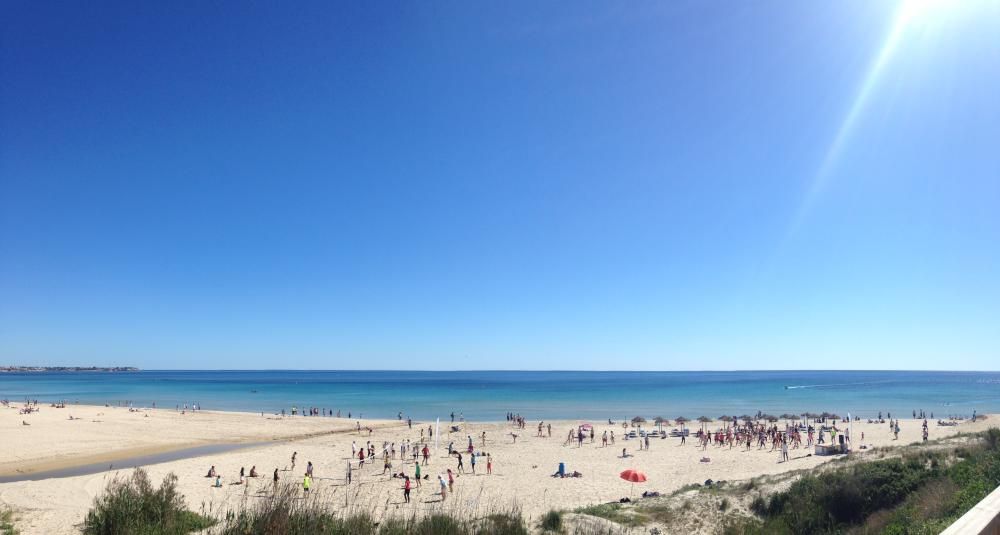 Playa Mil Palmeras, en Pilar de la Horadada, con bandera azul. Los arenales de Higuericas, Puerto y Rocamar, en la misma localidad, también lucen el distintivo.