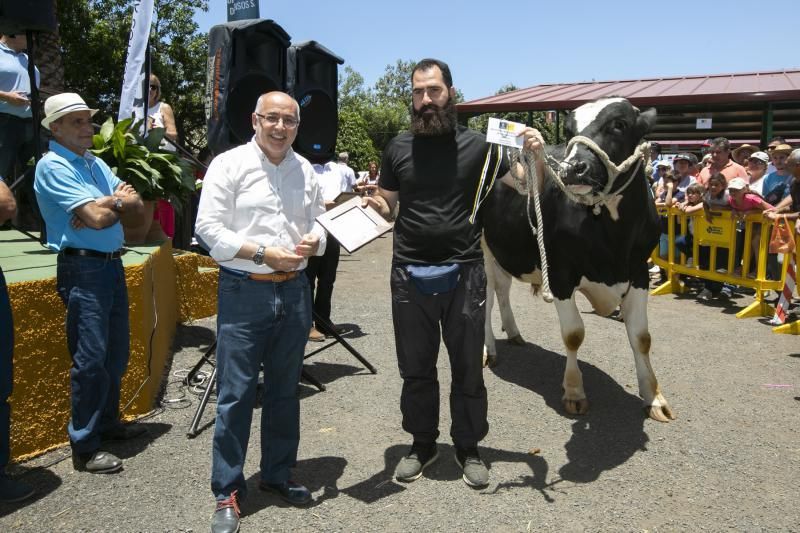 26.05.18. Bañaderos, Arucas. Feria de Ganado Selecto de Gran Canaria. Granja del Cabildo de GC..  Foto Quique Curbelo  | 27/05/2018 | Fotógrafo: Quique Curbelo