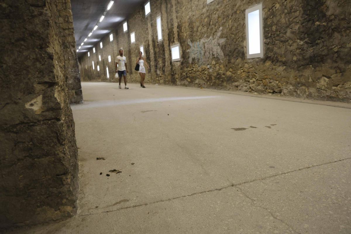 Vía Verde de Alicante en la Albufereta con excrementos de perros por falta de papeleras