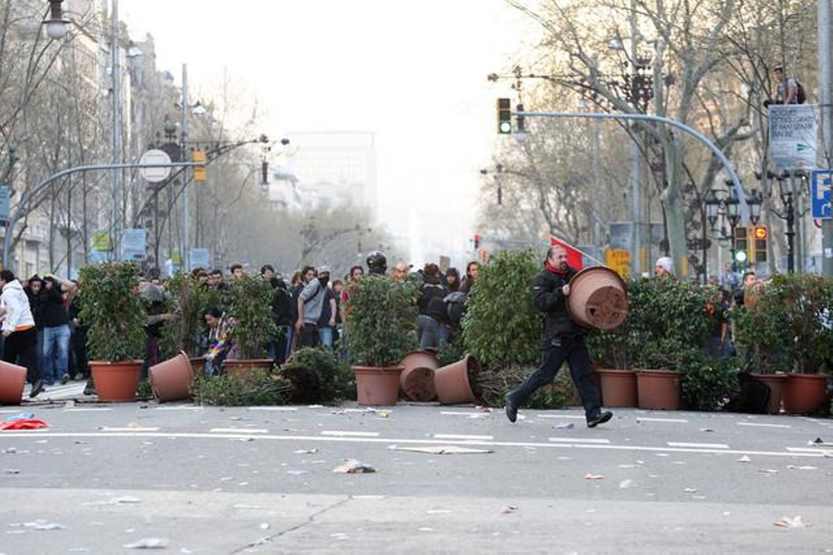 Testos al mig del carrer.